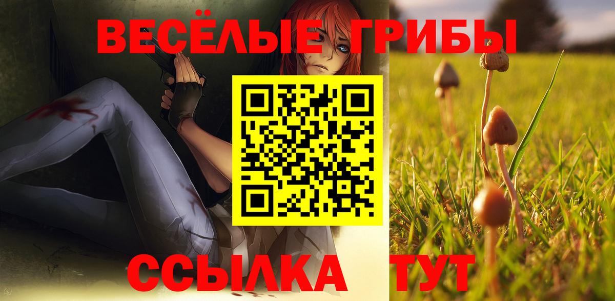 Псилоцибиновые грибы MAGIC MUSHROOMS  Псилоцибиновые грибы мухоморы  Вход с VPN  Пенза 